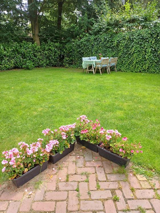 Villa De Woudtplaats Wolfheze Esterno foto